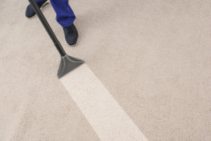 Carpet Cleaning 